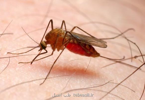 پرونده مالاریا در ایران بسته می شود؟