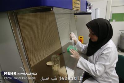 استاد دانشگاه علوم پزشکی شهید بهشتی مطرح کرد؛ آنچه زنان باید در مورد فیبروم های رحمی بدانند