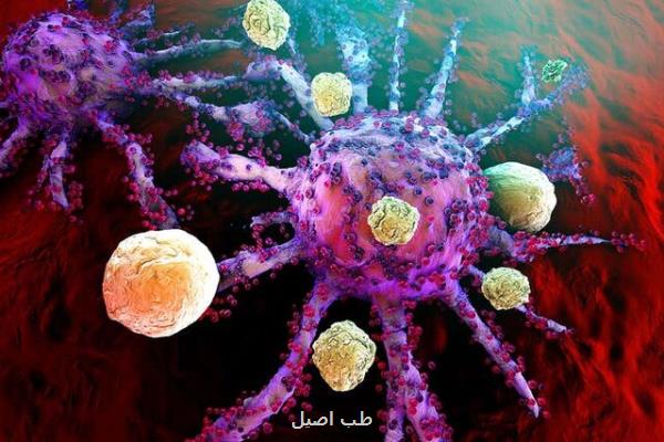 با تلاش پژوهشگران آمریکایی صورت گرفت کشف پایگاه های ایمنی بدن در مقابله با سرطان