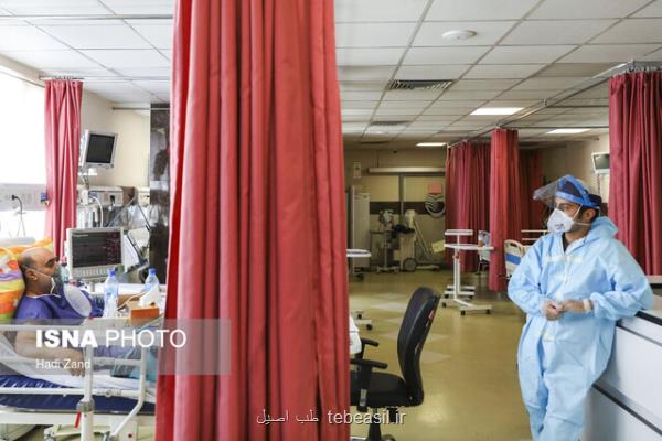۲۸۵ بیمار در بخش های کرونایی استان بوشهر بستری هستند