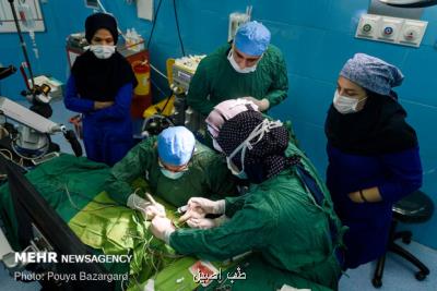 مدیرعامل بنیاد بخشش: سالانه ۱۲۰۰ کودک در کشور نیازمند کاشت حلزون هستند