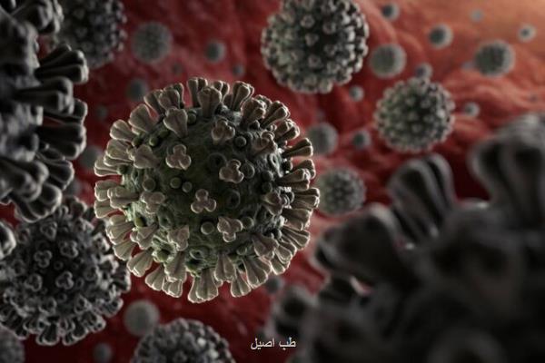 آنچه دانشمندان در مورد کروناویروس جدید در انگلیس می دانند