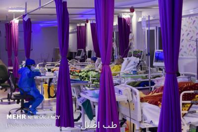 معاون درمان وزارت بهداشت؛ غفلت نماییم دو هفته بعد درگیر پیک شدید کرونا می شویم