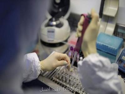 مسئول فنی آزمایشگاه جامع کرونا بیمارستان امام (ره) عنوان کرد؛ تشخیص ویروس جهش یافته در آزمایشگاه بیمارستان امام