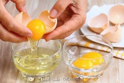مصرف هفته ای ۴ عدد تخم مرغ سبب افزایش چربی خون نمی گردد