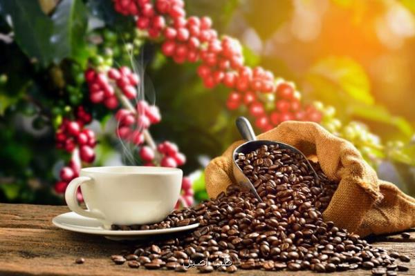 کدام نوع قهوه خطر مرگ زودرس را کاهش می دهد؟