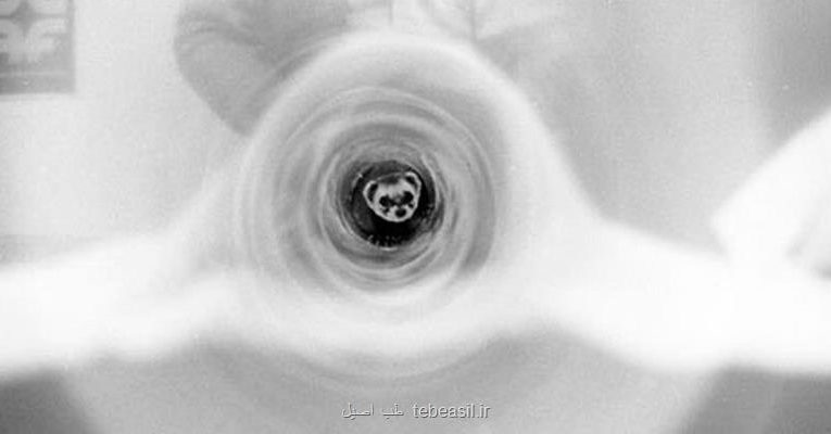 دستیار عجیب و غیرانسان فیزیک دان های آمریکایی!