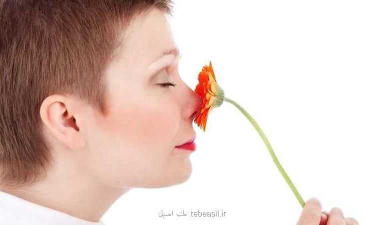 تأثیر عجیب بو بر رنگ هایی که می بینیم