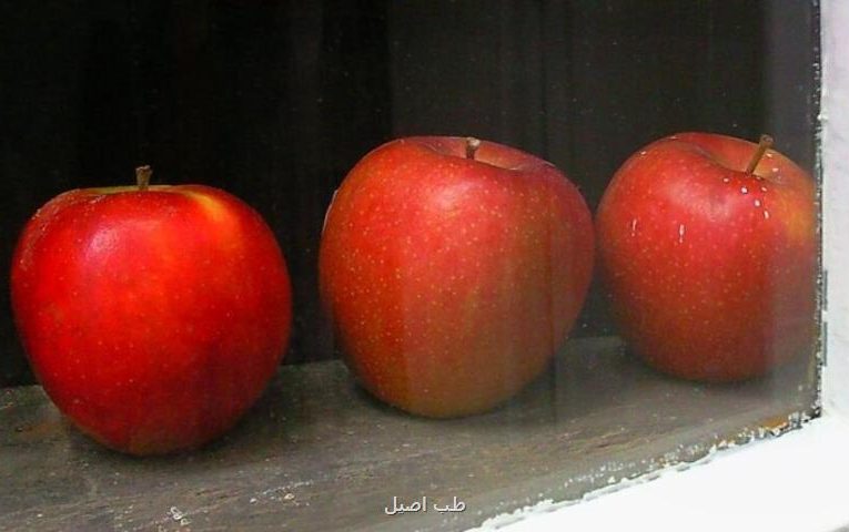 تفاوت عجیب ۴ و ۵ در مغز انسان