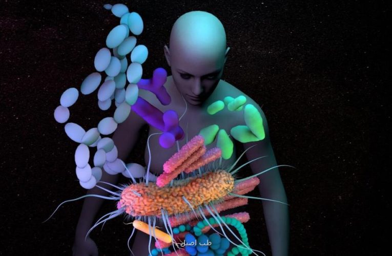 داستان عجیب میکروب های بدن بعد از مرگ انسان