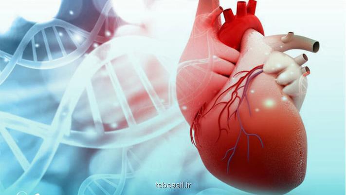 سفارش های طب ایرانی برای تقویت قلب