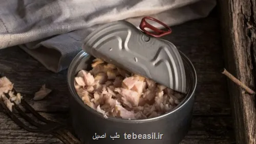 آیا خوردن روزانه ماهی تن بی خطر است؟