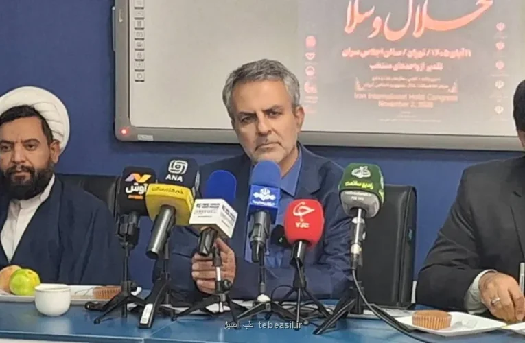 بالاتر از ۷ هزار میلیارد دلار گردش مالی صنعت حلال است