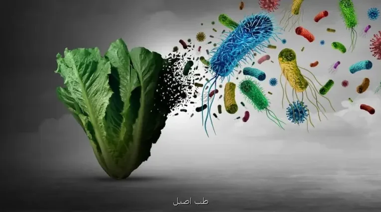 مصرف کاهو ۱۲ هزار نفر را بیمار کرد یک شیوع عجیب در آمریکا