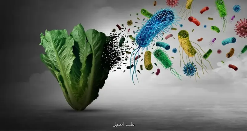 مصرف کاهو ۱۲ هزار نفر را بیمار کرد یک شیوع عجیب در آمریکا